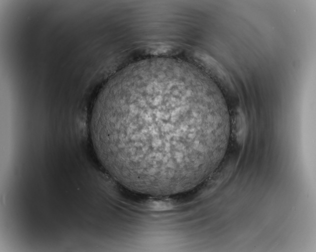 X0000094220510200711091258