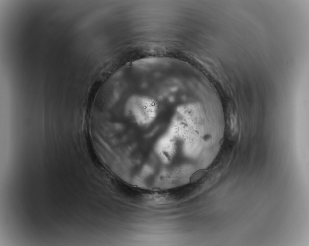 X0000094220511200711091258