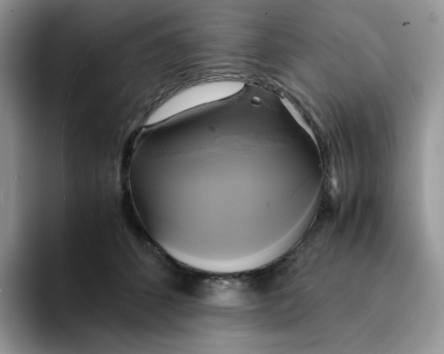 X0000094220512200711091258