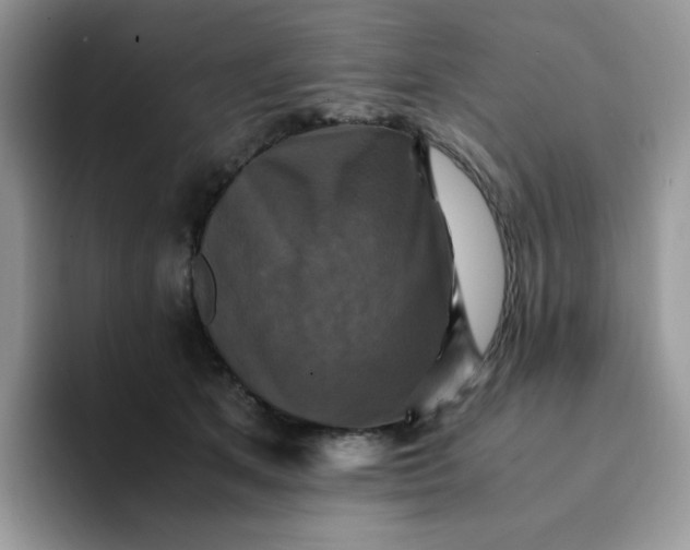 X0000094220513200711091258