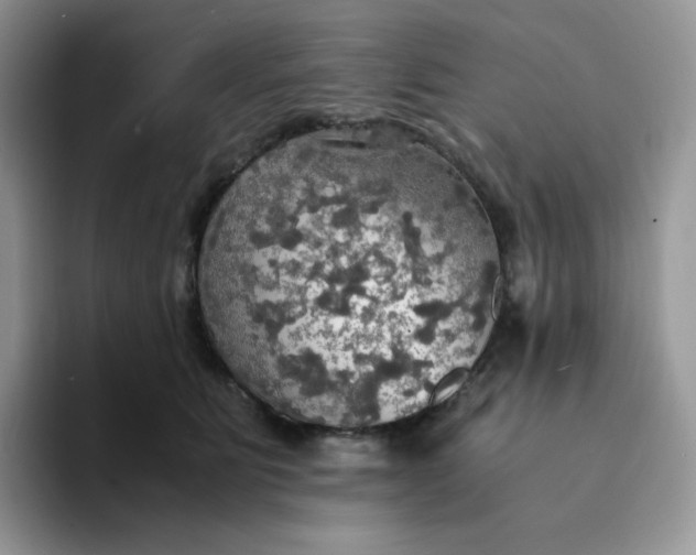 X0000094220515200711091258