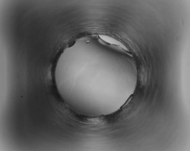 X0000094220516200711091258