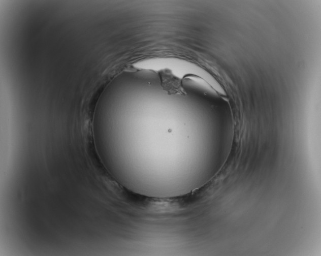 X0000094220521200711091258