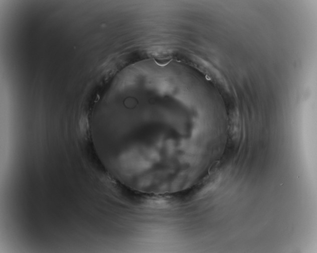 X0000094220523200711091258