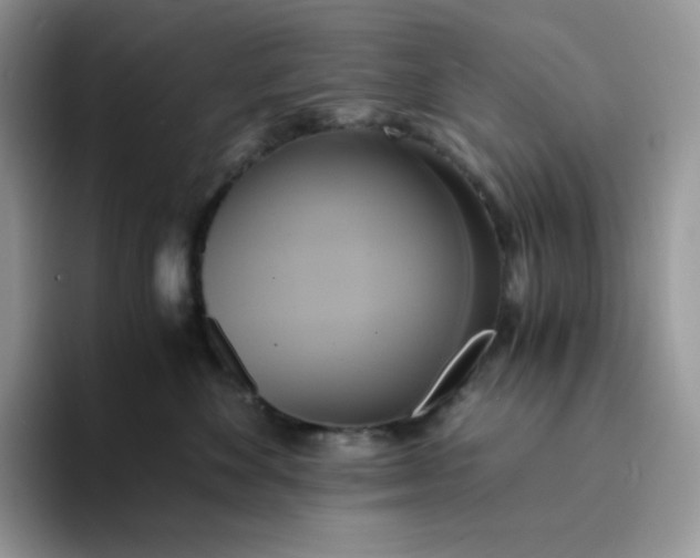 X0000094220524200711091258