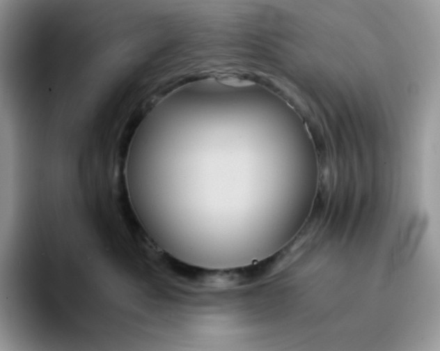 X0000094220525200711091258