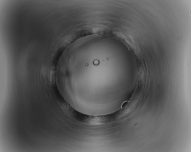 X0000094220527200711091258