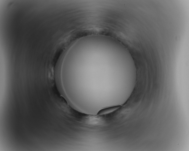 X0000094220528200711091258