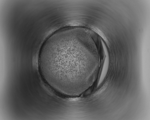 X0000094220530200711091257