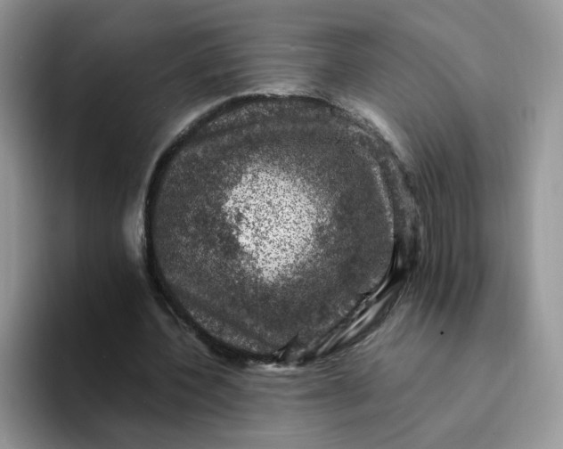 X0000094220532200711091257