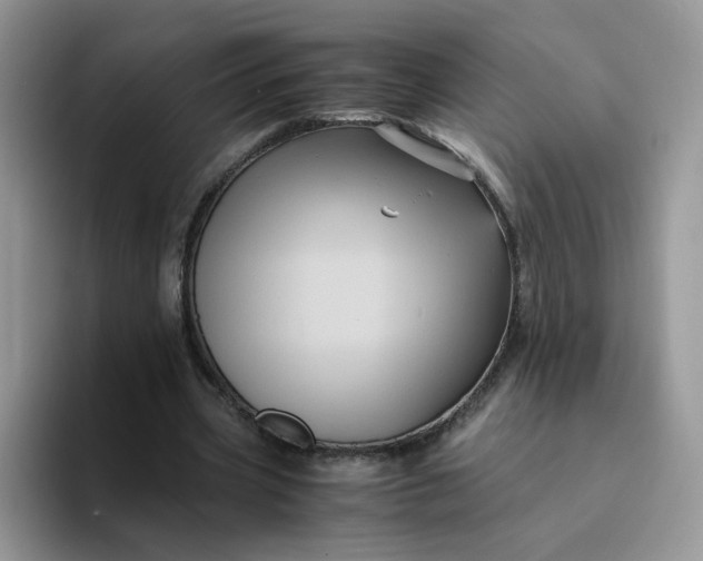 X0000094220533200711091257