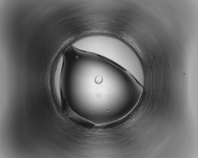 X0000094220534200711091257