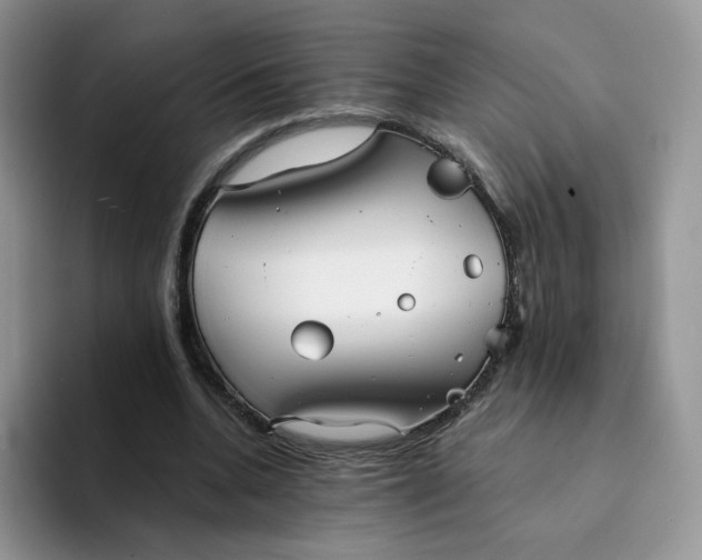 X0000094220536200711091257