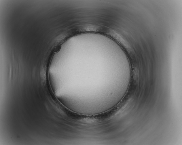 X0000094220537200711091257