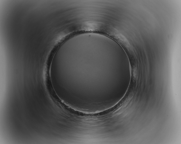 X0000094220540200711091258