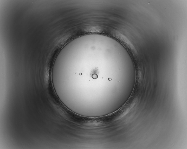 X0000094220541200711091258