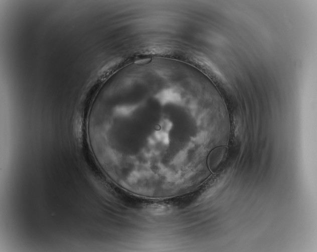 X0000094220542200711091258