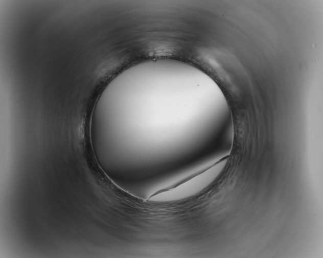 X0000094220543200711091258