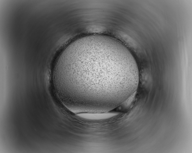 X0000094220544200711091258