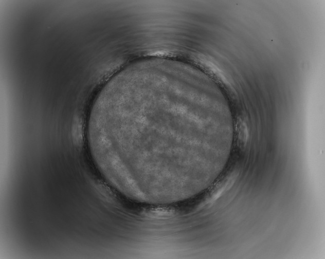 X0000094220546200711091258