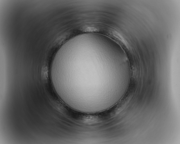 X0000094220549200711091258