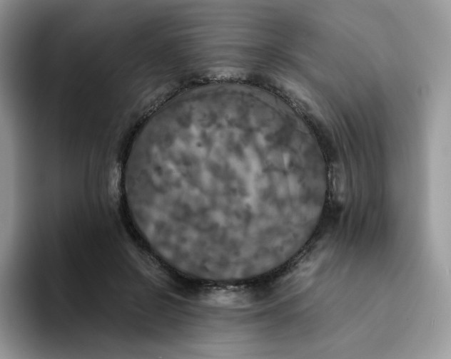 X0000094220550200711091258