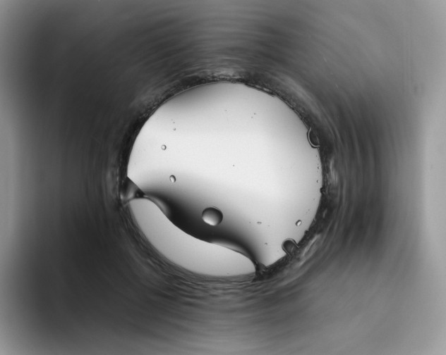 X0000094220552200711091258