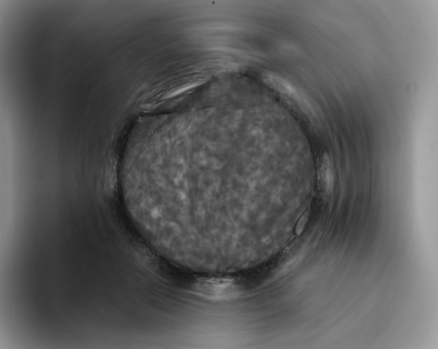 X0000094220554200711091258