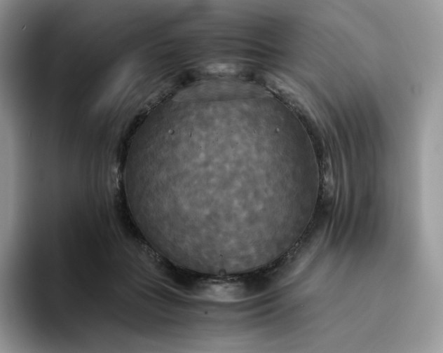 X0000094220555200711091258