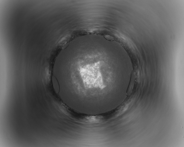 X0000094220558200711091258