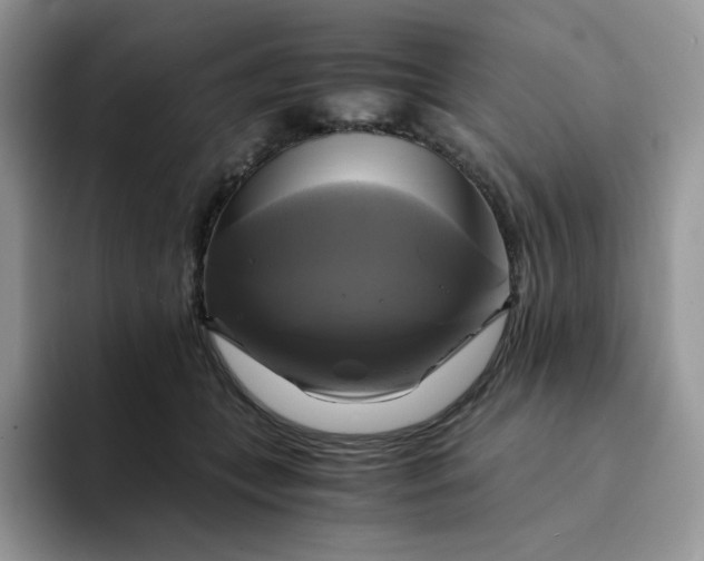 X0000094220559200711091258