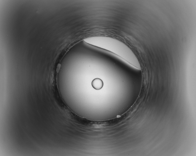 X0000094220560200711091258