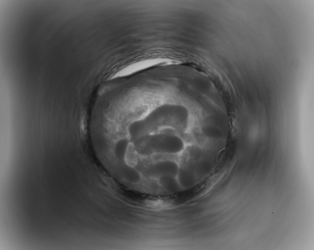 X0000094220561200711091258