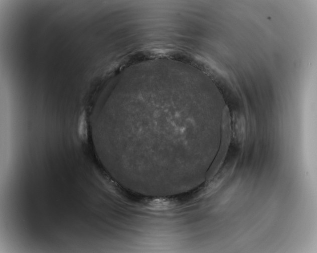 X0000094220562200711091258