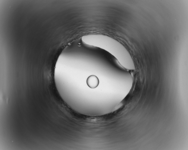 X0000094220564200711091258