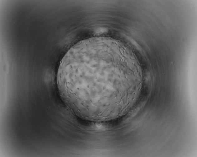 X0000094220565200711091258