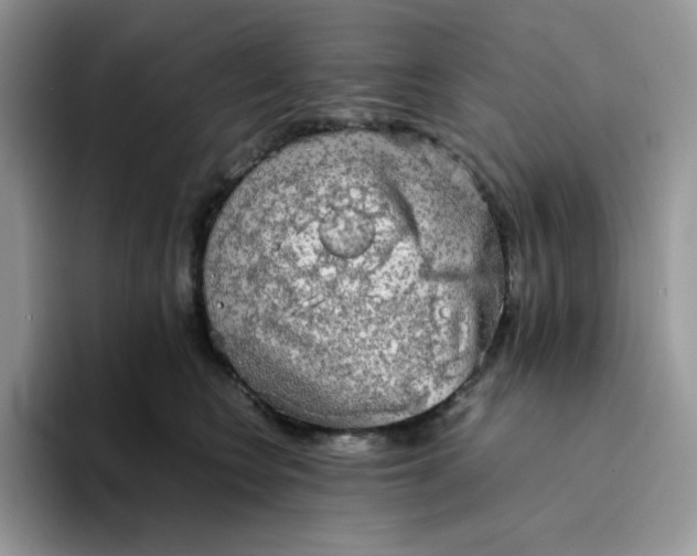 X0000094220566200711091258