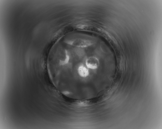 X0000094220569200711091258