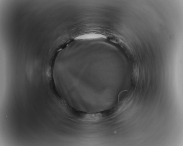 X0000094220571200711091258