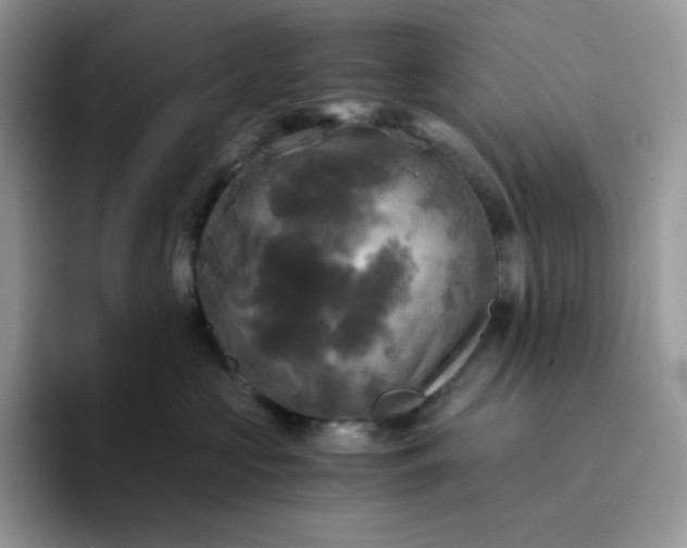 X0000094220573200711091258