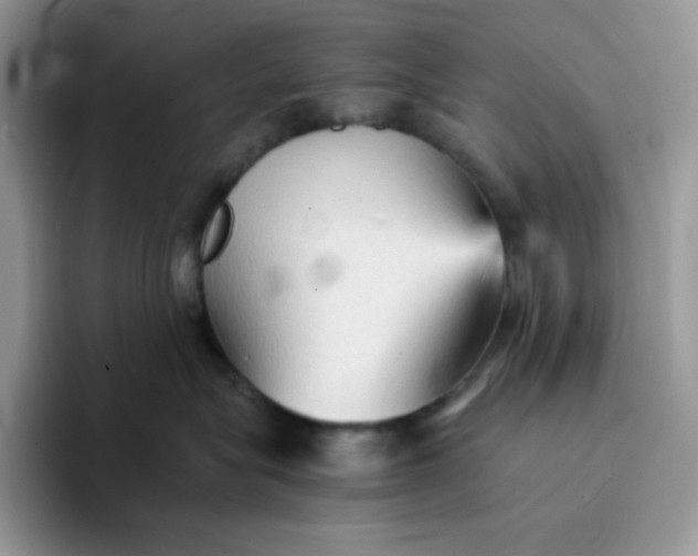 X0000094220575200711091258