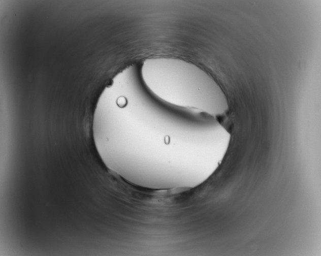 X0000094220576200711091258