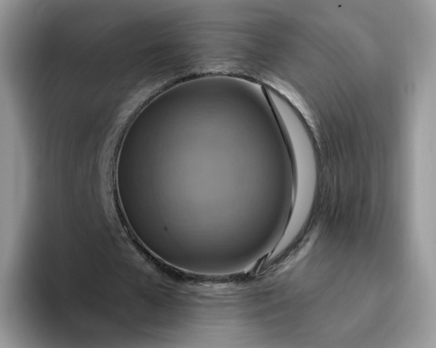 X0000094220577200711091257