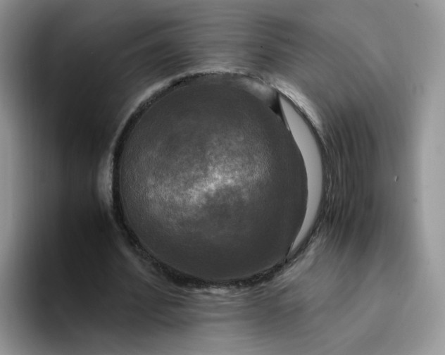 X0000094220580200711091257