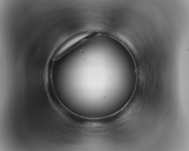 X0000094220582200711091257