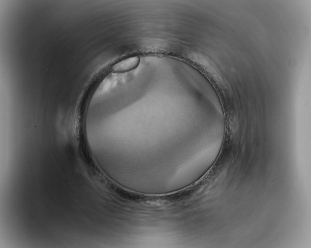 X0000094220583200711091257