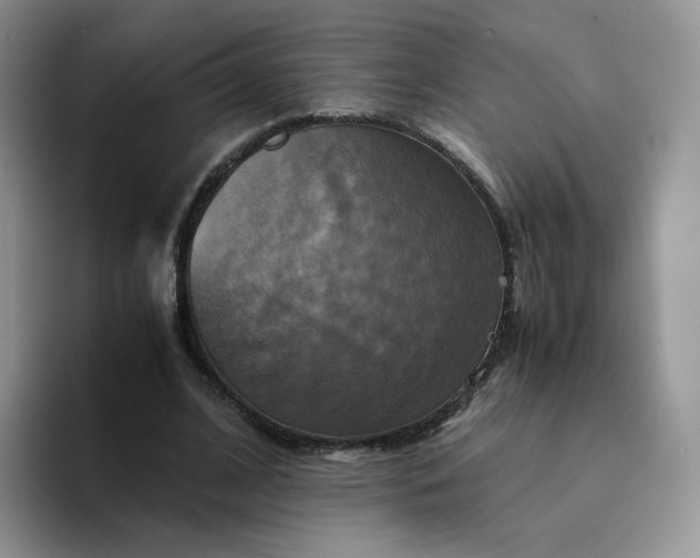 X0000094220584200711091257