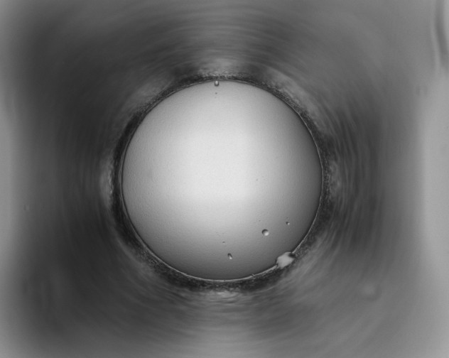 X0000094220586200711091257