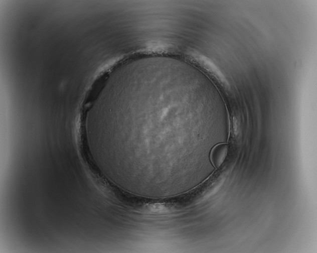 X0000094220588200711091257