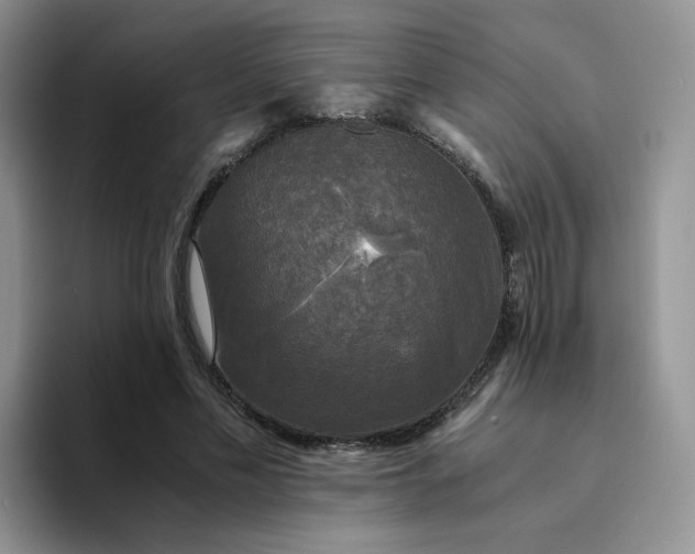 X0000094220589200711091257